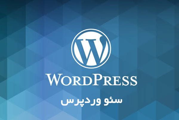 سئو سایت وردپرس